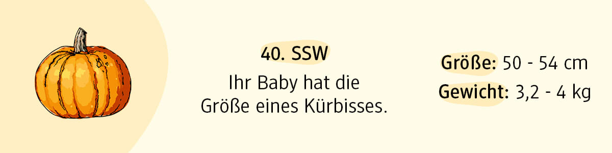 Schwangerschaftswoche 40
