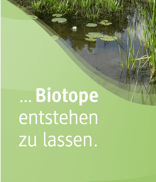 Sie können unterstützen, Biotope entstehen zu lassen. 