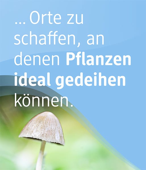 Sie können unterstützen, Orte für Pflanzen zu schaffen.