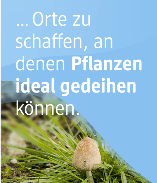 Sie können unterstützen, Orte für Pflanzen zu schaffen. 