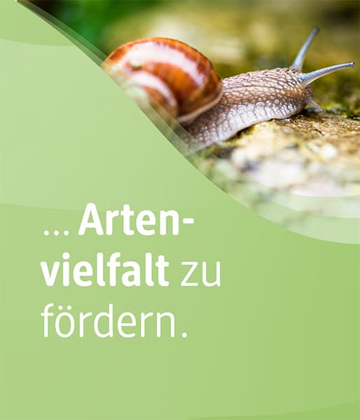 Sie können unterstützen, Artenvielfalt zu fördern.