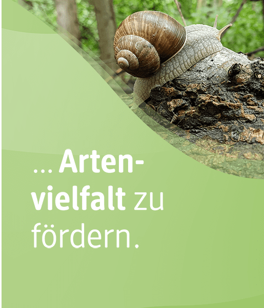 Sie können unterstützen, Artenvielfalt zu fördern.    