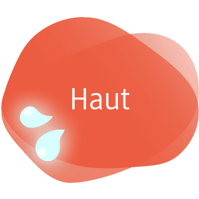 Haut