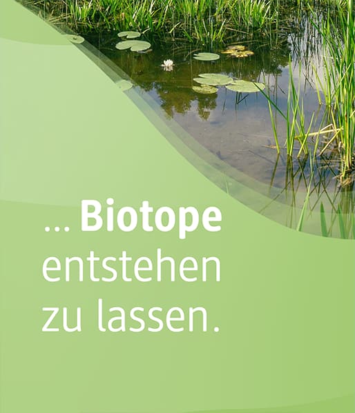 Sie können unterstützen, Biotope entstehen zu lassen.