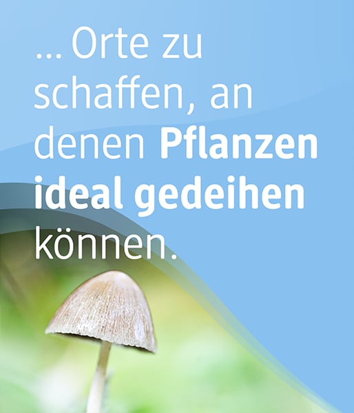 Sie können unterstützen, Orte für Pflanzen zu schaffen.