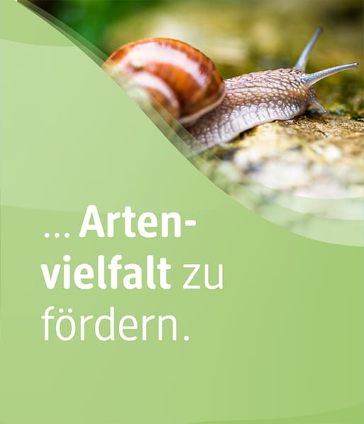 Sie können unterstützen, Artenvielfalt zu fördern.