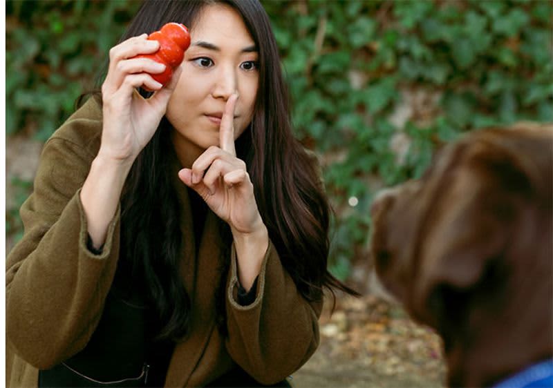 Frau, die ihren Hund trainiert