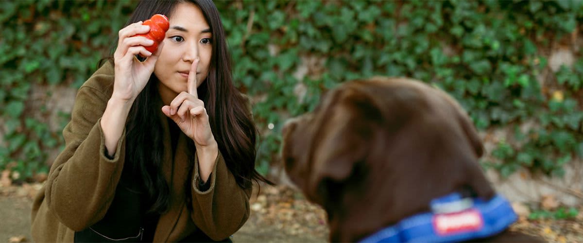 Frau, die ihren Hund trainiert