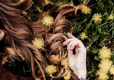 Löwenzahn und braunes Haar auf grünem Gras