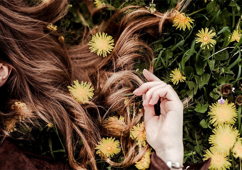 Löwenzahn und braunes Haar auf grünem Gras