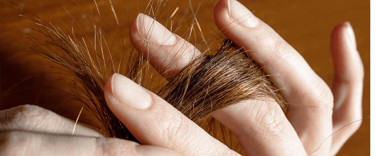 trockene Haarsträne