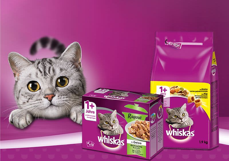 Whiskas Aufmacher