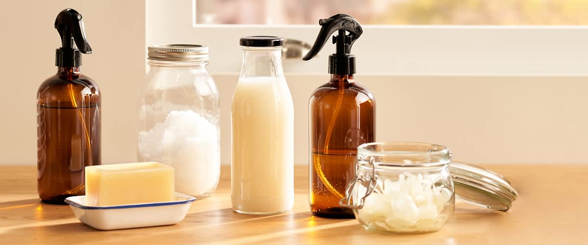 Veganismus im Haushalt