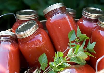 Tomaten einkochen