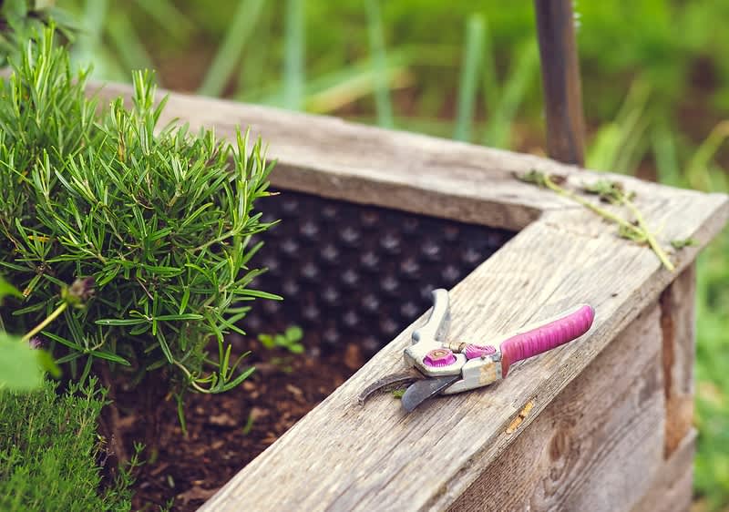 Menschen demonstrieren gegen den Einsatz von Pestiziden