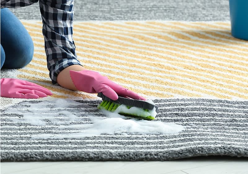 Frau reinigt Teppich