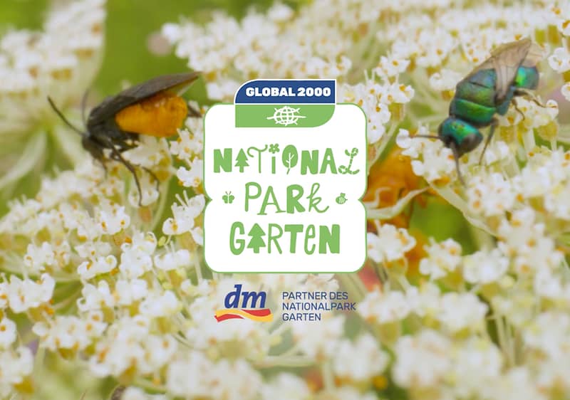 dm ist Partner des Nationalpark Garten