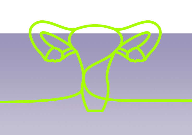 Zyklusbewusstsein stärken