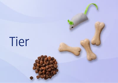 Ein graues Spielzeugmaus mit grünem Schwanz und Ohren, drei beige Hundeknochen und ein Haufen brauner Tierfutterkroketten, daneben der Text „Tier“