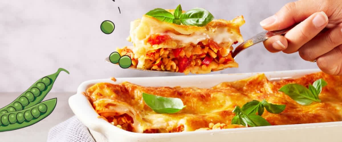 Vegane Lasagne Bild
