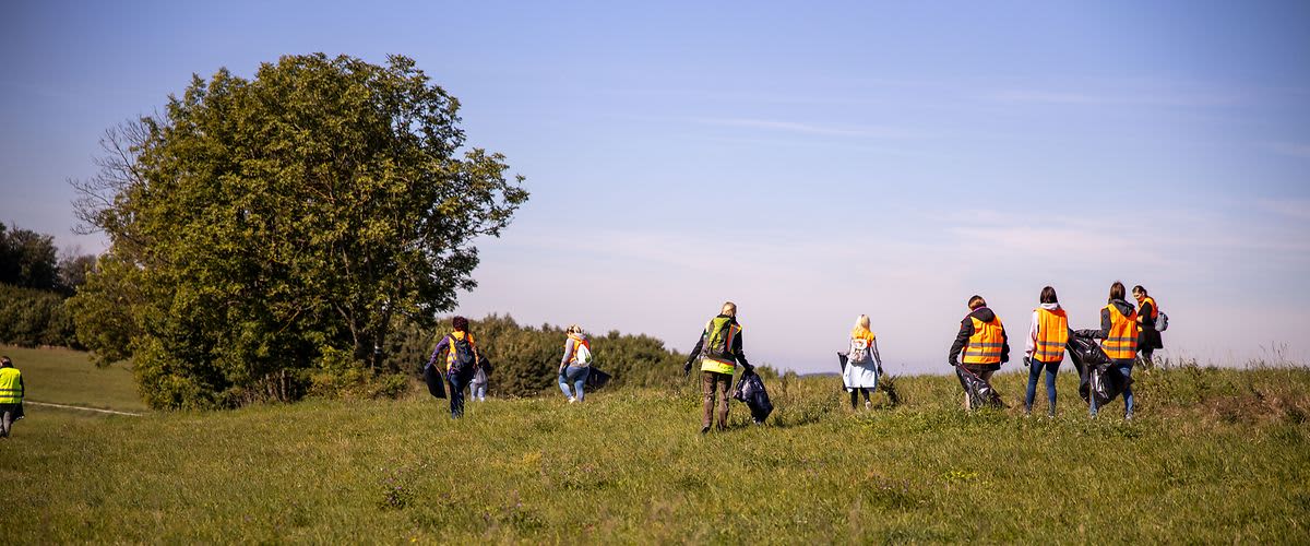 dm Mitarbeiter beim Müll sammeln auf einer grünen Wiese.