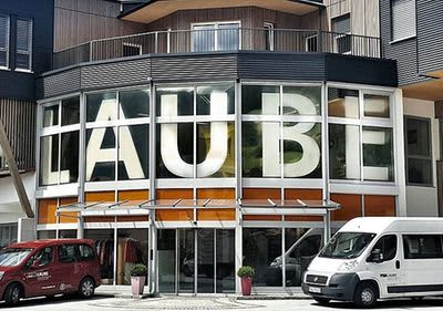 Laube