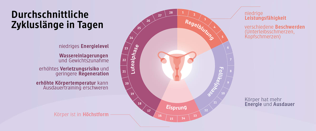 Zyklusbasiertes Training: Übersicht