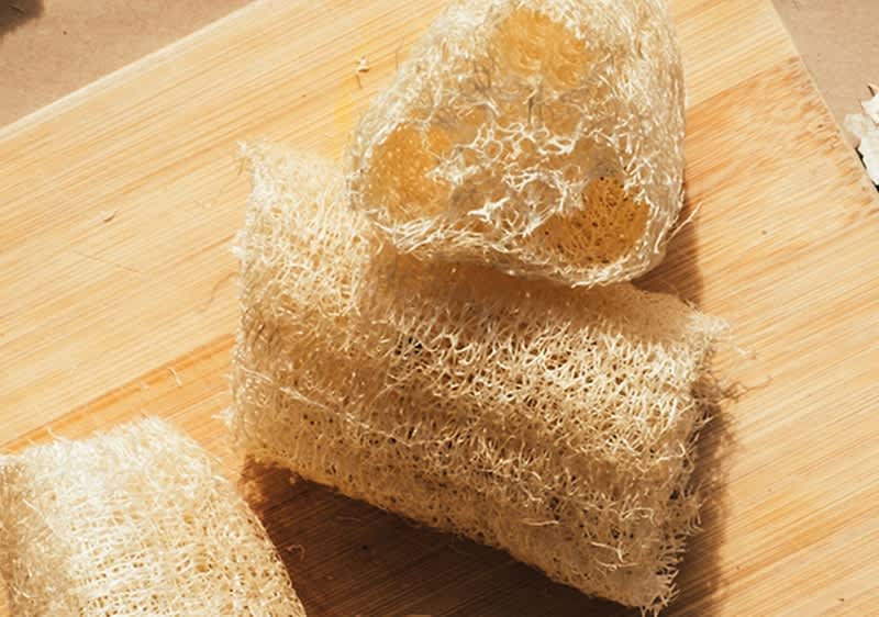 Luffa-Schwämme