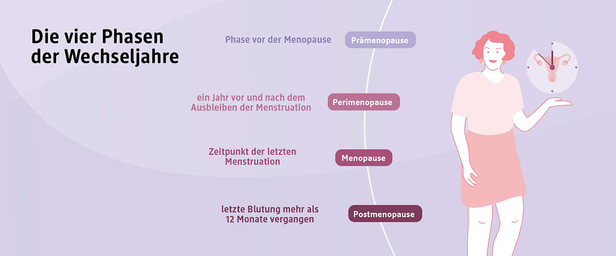 Infografik zu den 4 Phasen der Wechseljahre