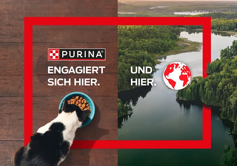 Purina ONE Katzenfutter