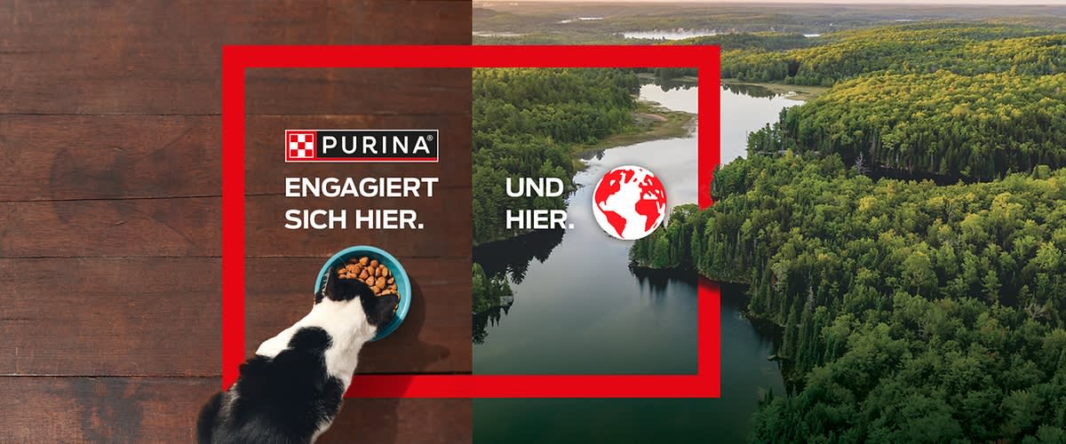 Purina ONE Katzenfutter