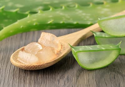 Aloe Vera Gel auf Holzlöffel mit frischen Aloe Vera Blättern