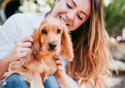 Kokosöl zur Fellpflege bei Hunden