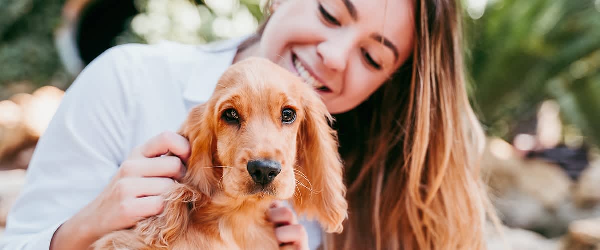 Kokosöl zur Fellpflege bei Hunden