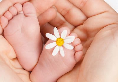 Hände halten Babyfüße mit Blume