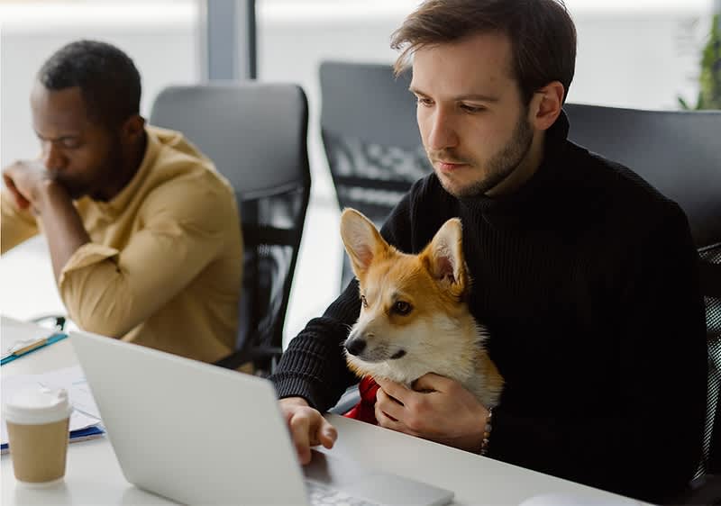 Mann sitzt mit Hund im Buero am Schreibtisch vor PC