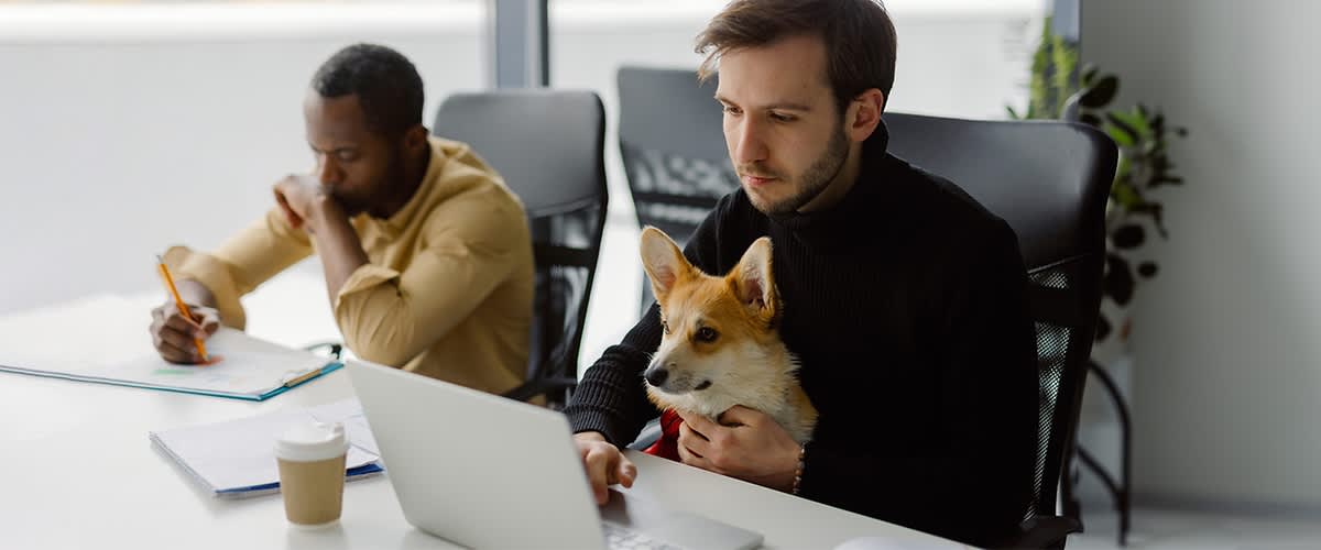 Mann sitzt mit Hund im Buero am Schreibtisch vor PC