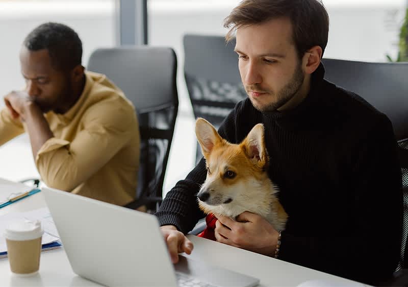 Mann sitzt mit Hund im Buero am Schreibtisch vor PC