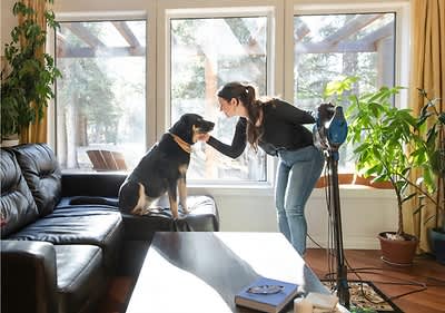 Frau streichelt Hund auf einem Sofa in einem sonnigen Wohnzimmer