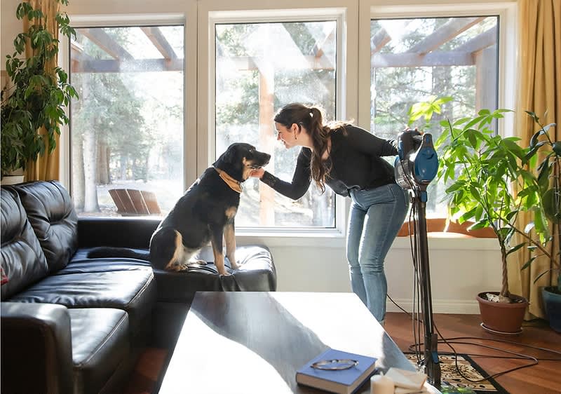 Frau streichelt Hund auf einem Sofa in einem sonnigen Wohnzimmer