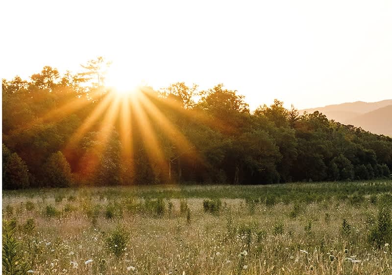 Landschaft mit Sonnenschein