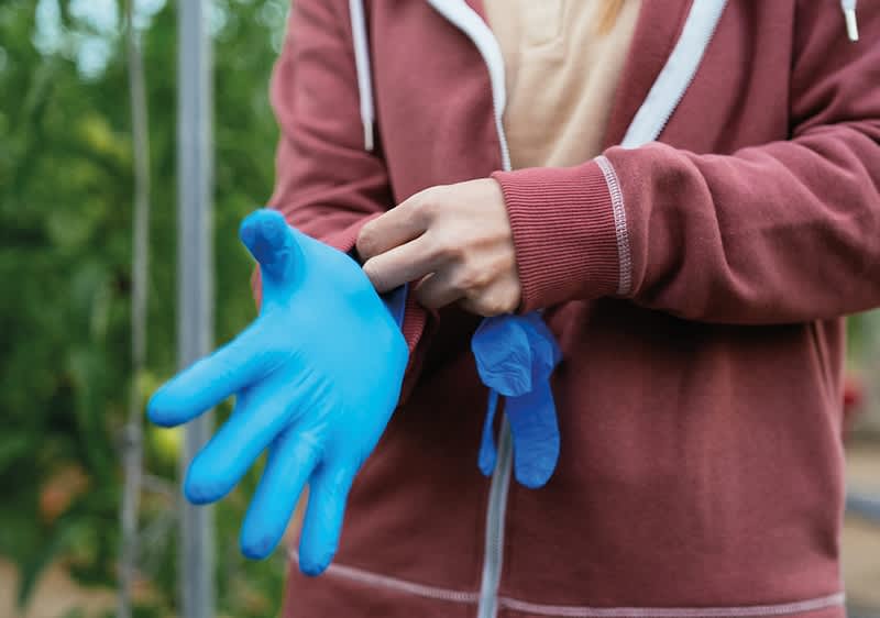 Frau mit blauen Gummihandschuhen
