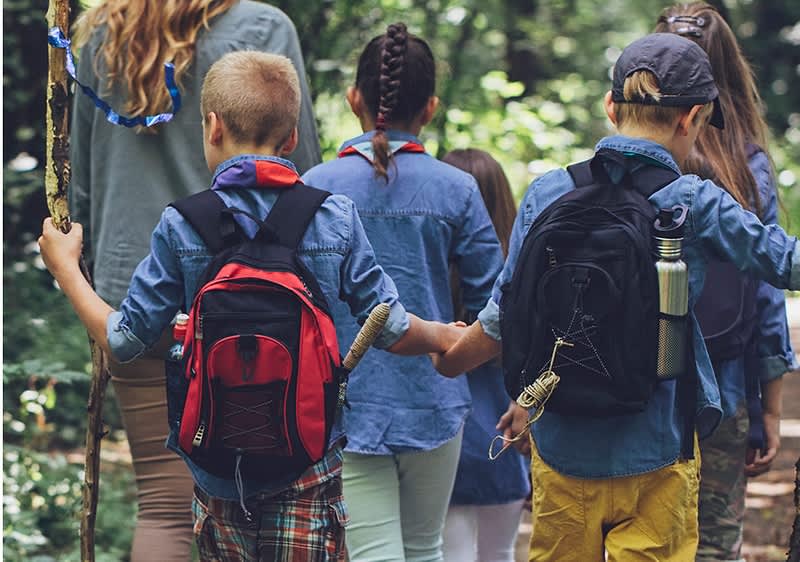 Kinder beim Wandern im Wald mit Rucksäcken und Wanderstöcken