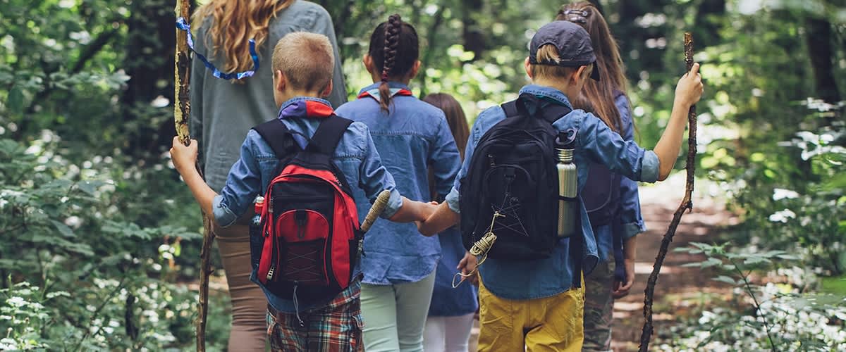 Kinder beim Wandern im Wald mit Rucksäcken und Wanderstöcken