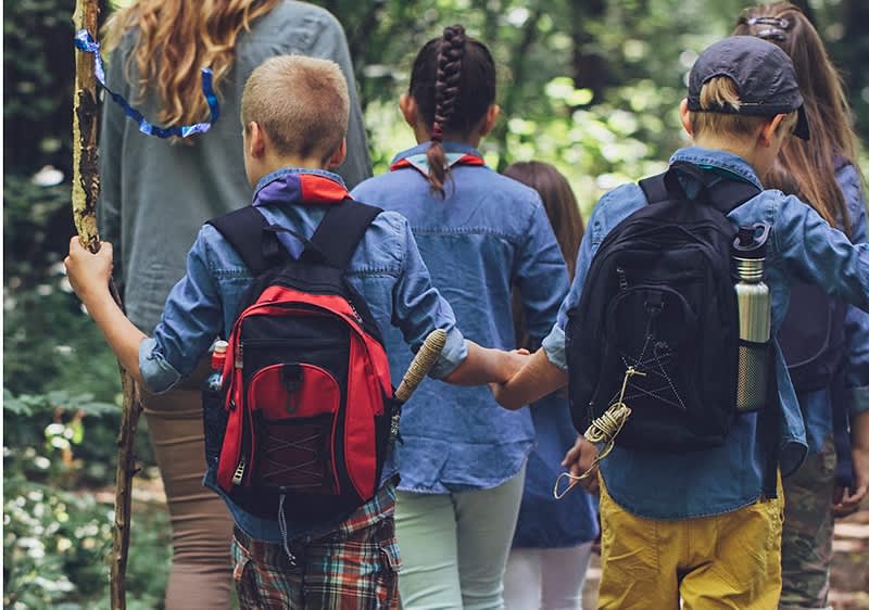 Kinder beim Wandern im Wald mit Rucksäcken und Wanderstöcken