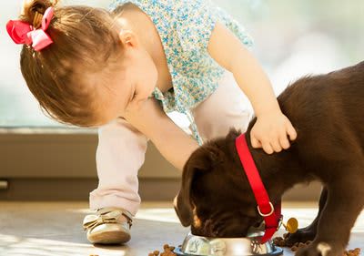 Kleinkind mit Hund
