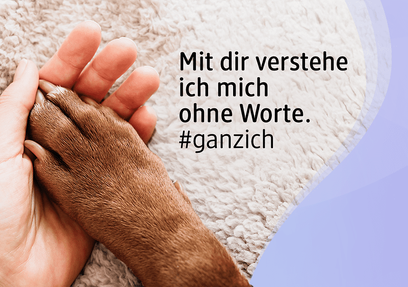 Hundepfote in menschlicher Hand mit Text über Verständnis