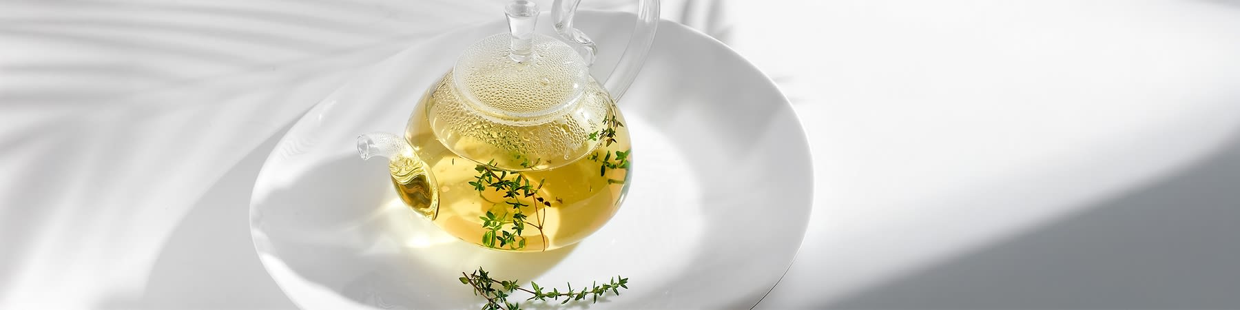 Kräutertee in Glasteekanne mit frischem Thymian auf weißem Teller