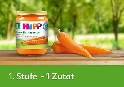 Bio-Karottenbrei mit frischen Karotten im Freien