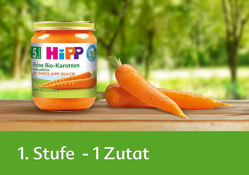 Bio-Karottenbrei mit frischen Karotten im Freien